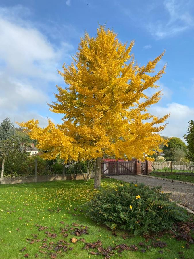 La Pommeraie 76 Saint-Ouen-sous-Bailly エクステリア 写真